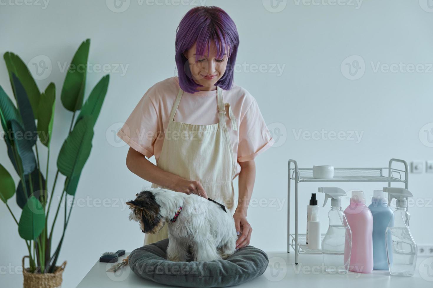 Confident young woman combing little dog at the grooming salon photo