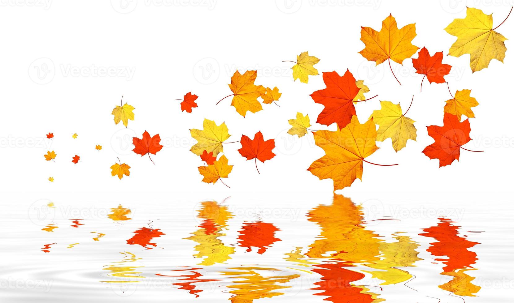 hojas brillantes de colores aisladas sobre fondo blanco foto