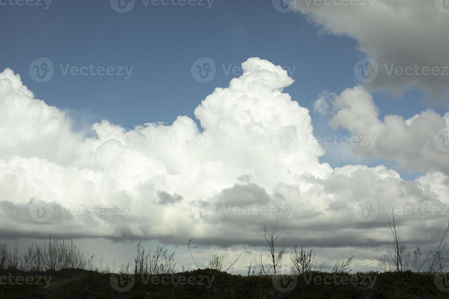 nubes blancas sobre el bosque. paisaje celestial en primavera. foto