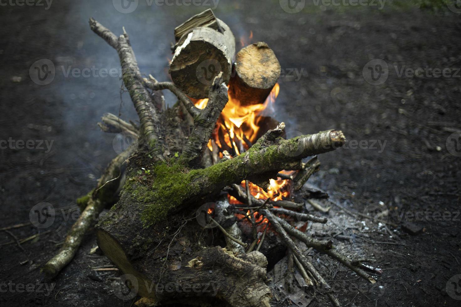 Fire in forest. Flame is yellow. Burning of dry branches. photo