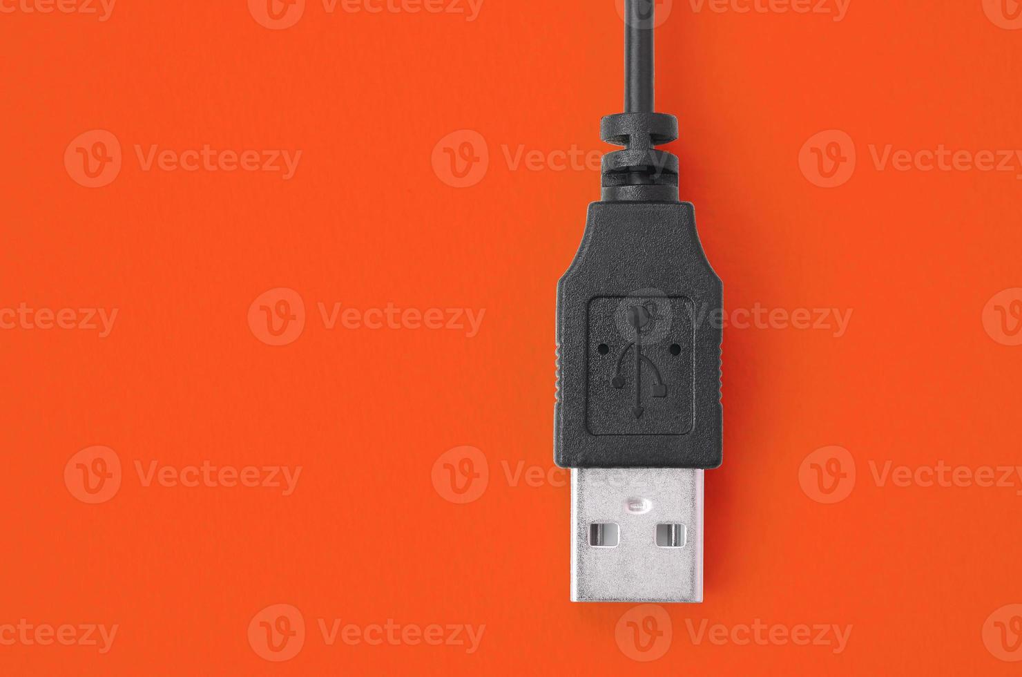 Black USB plug lies on a bright red background. photo