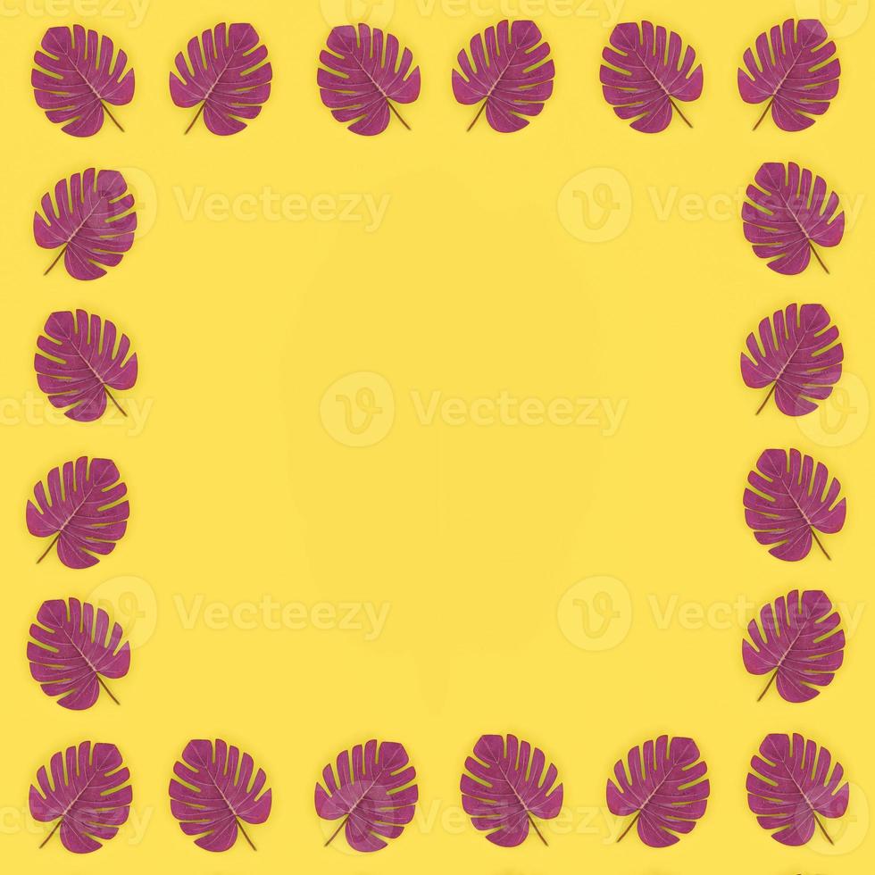 Tropical palm monstera leaves lies on a pastel colored paper. Nature summer concept pattern. Flat lay composition. Top view photo