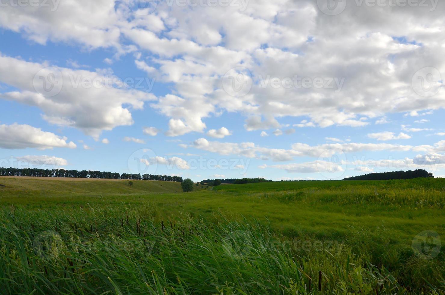 Rural landscape with a green field under a cloudy blue sky photo
