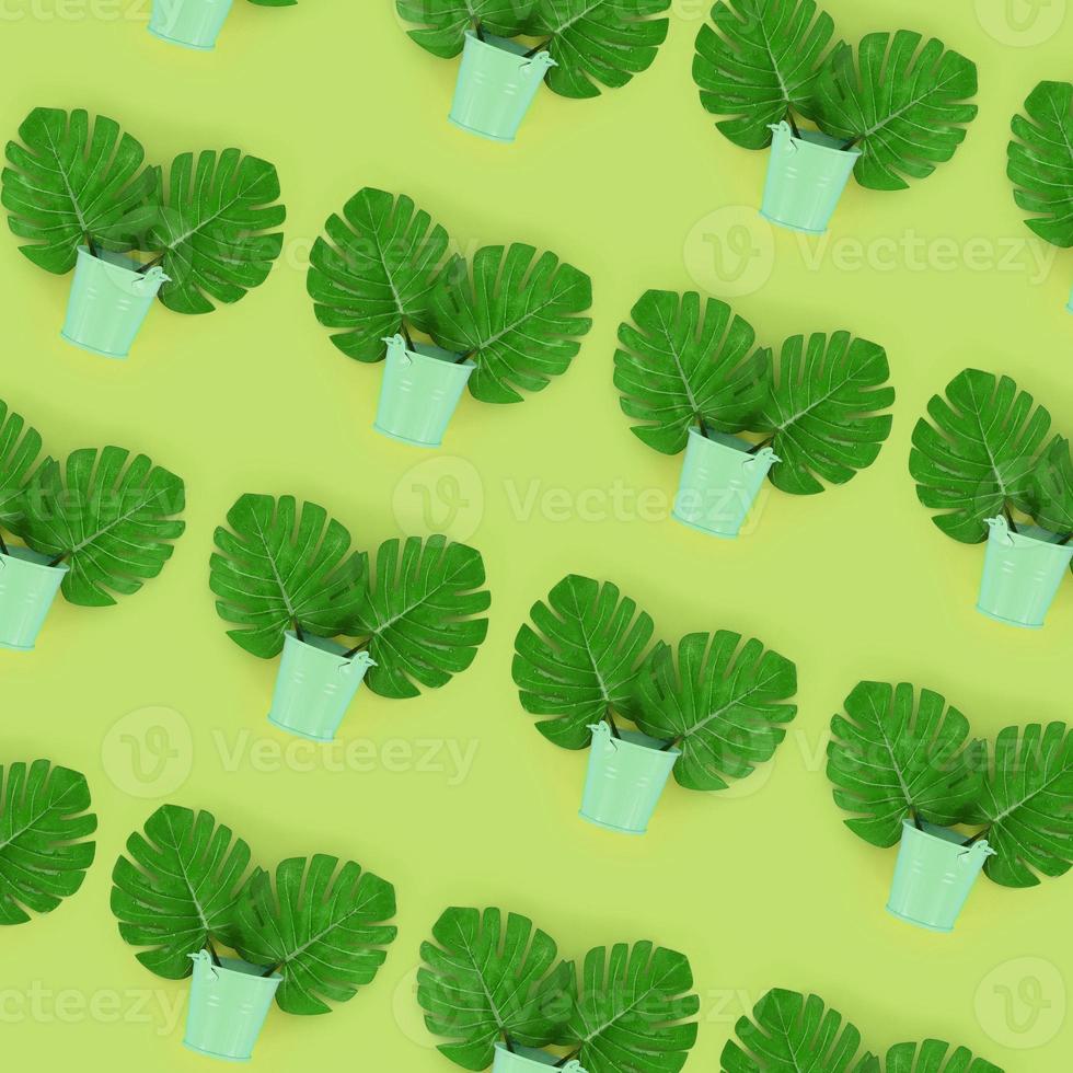 Tropical palm monstera leaves lies in a pastel pails on a colored background. Flat lay trendy minimal pattern. Top view photo