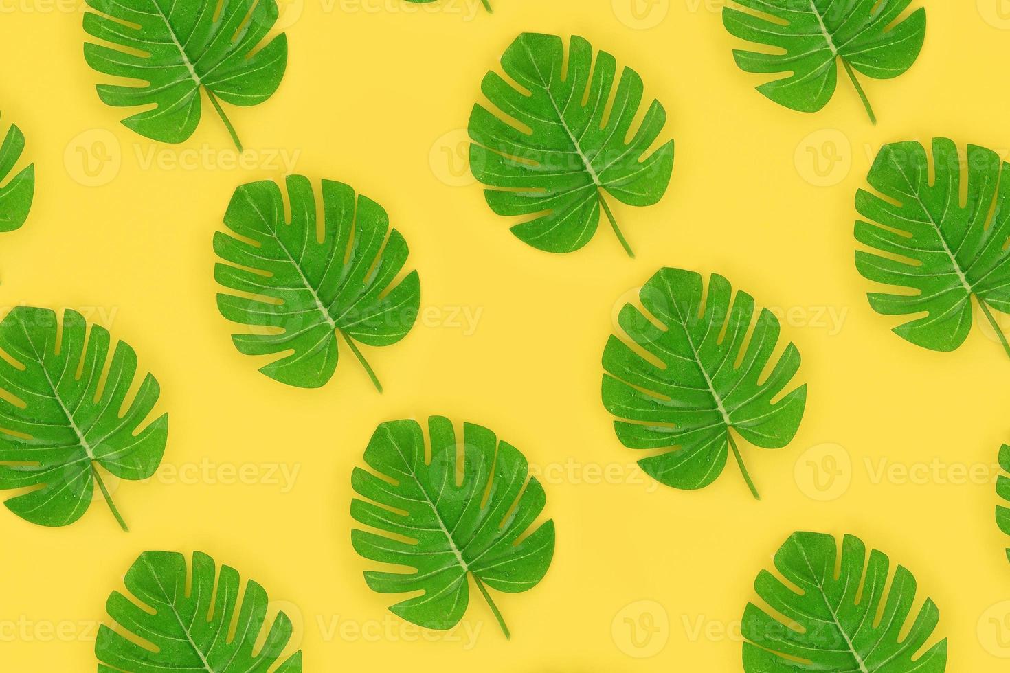 Tropical palm monstera leaves lies on a pastel colored paper. Nature summer concept pattern. Flat lay composition. Top view photo