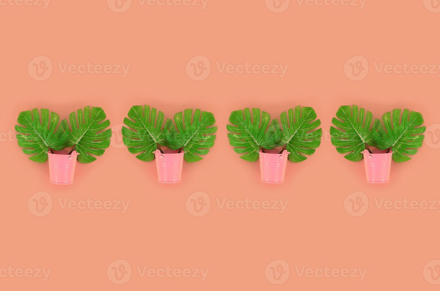 Tropical palm monstera leaves lies in a pastel pails on a colored background. Flat lay trendy minimal pattern. Top view photo
