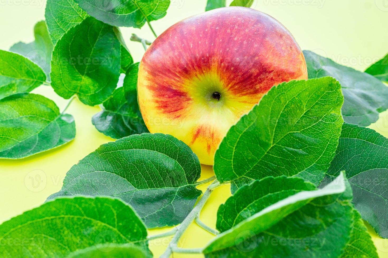 fresh ripe apples photo