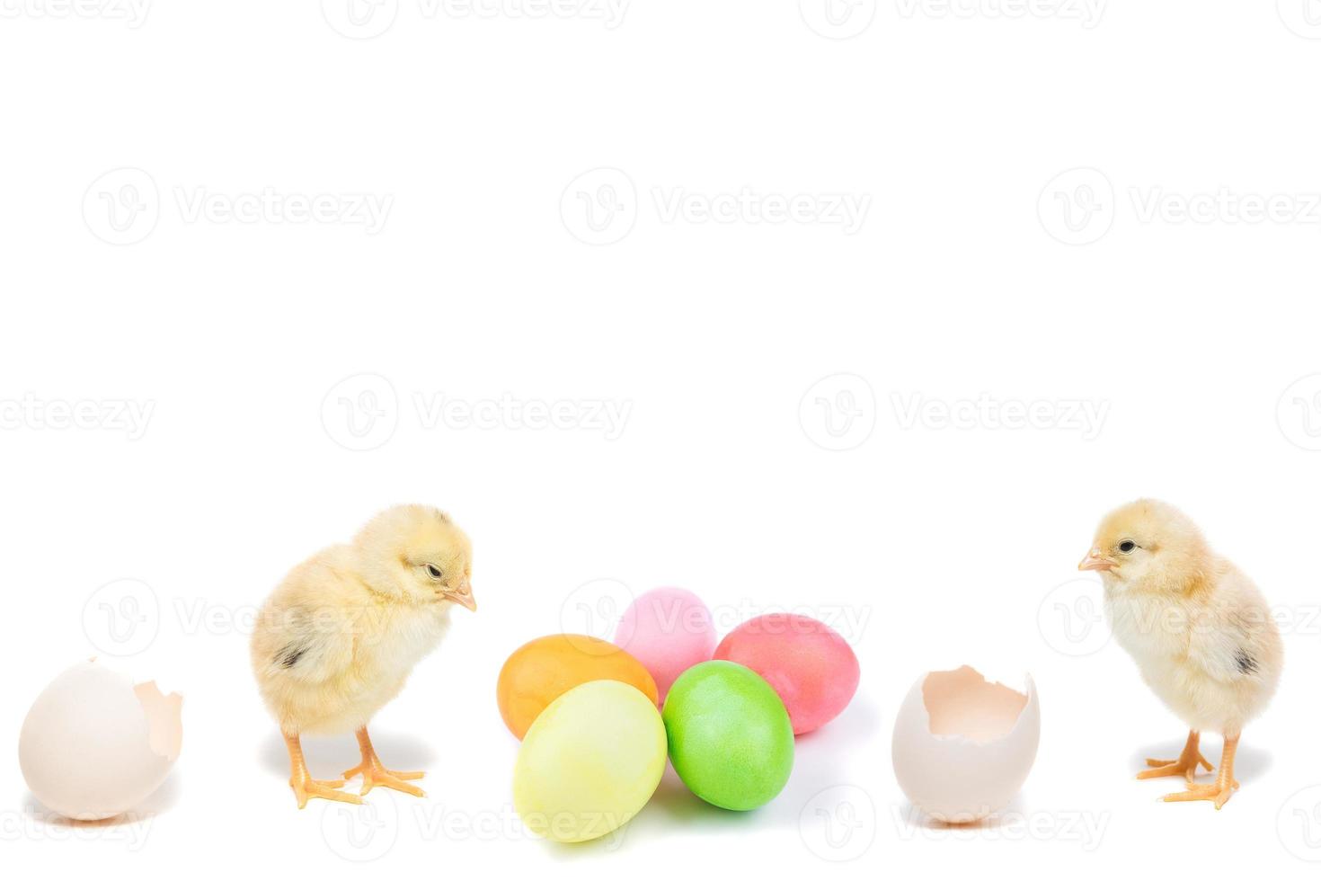 Easter chick and painted eggs photo