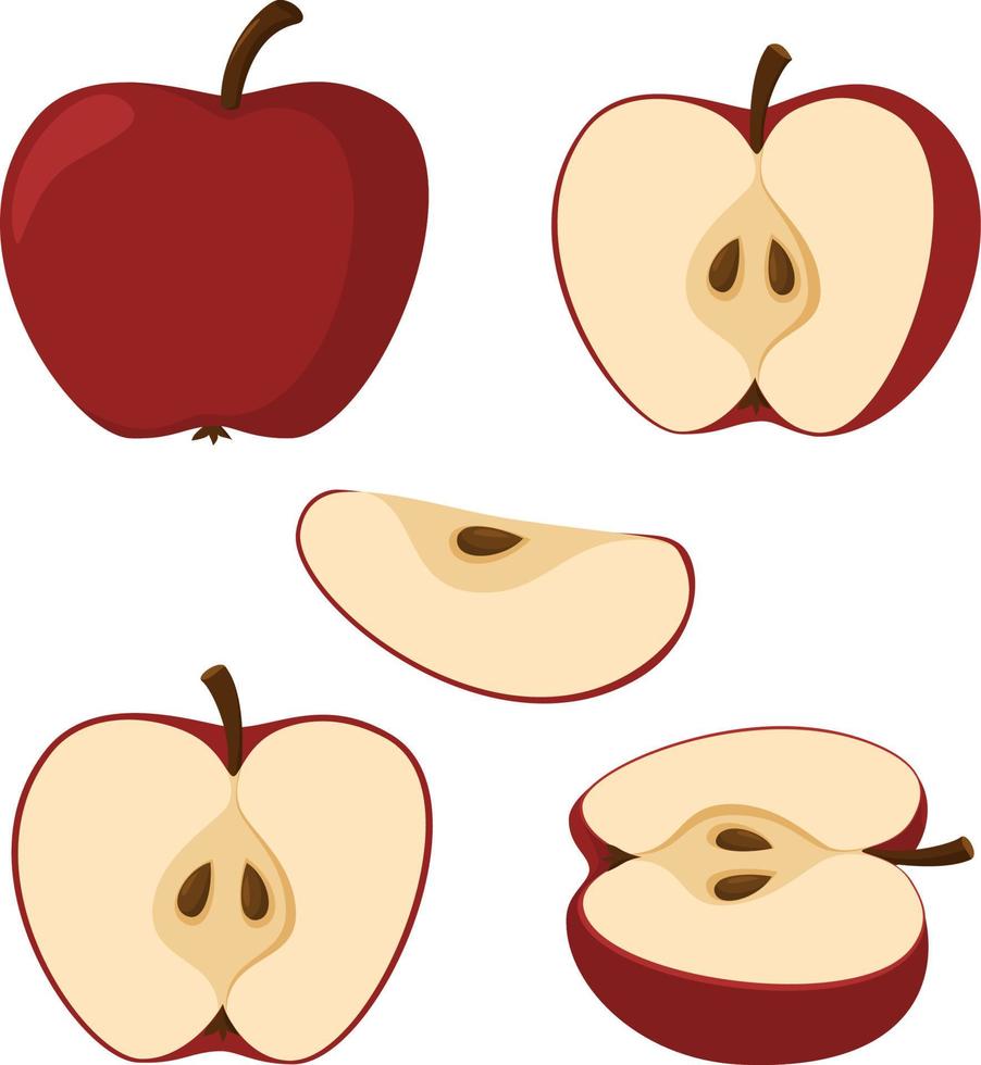 Fresh apple. Whole apple fruits and an apple cut in half. Cartoon style. vector illustration isolated on a white background