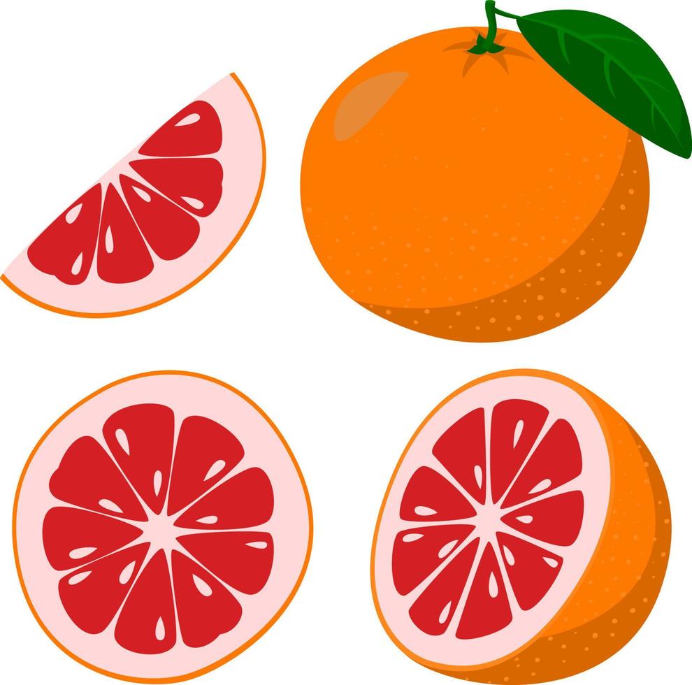 pomelo fresco. frutos de pomelo enteros y un pomelo cortado por la mitad. estilo de dibujos animados ilustración vectorial aislada en un fondo blanco vector