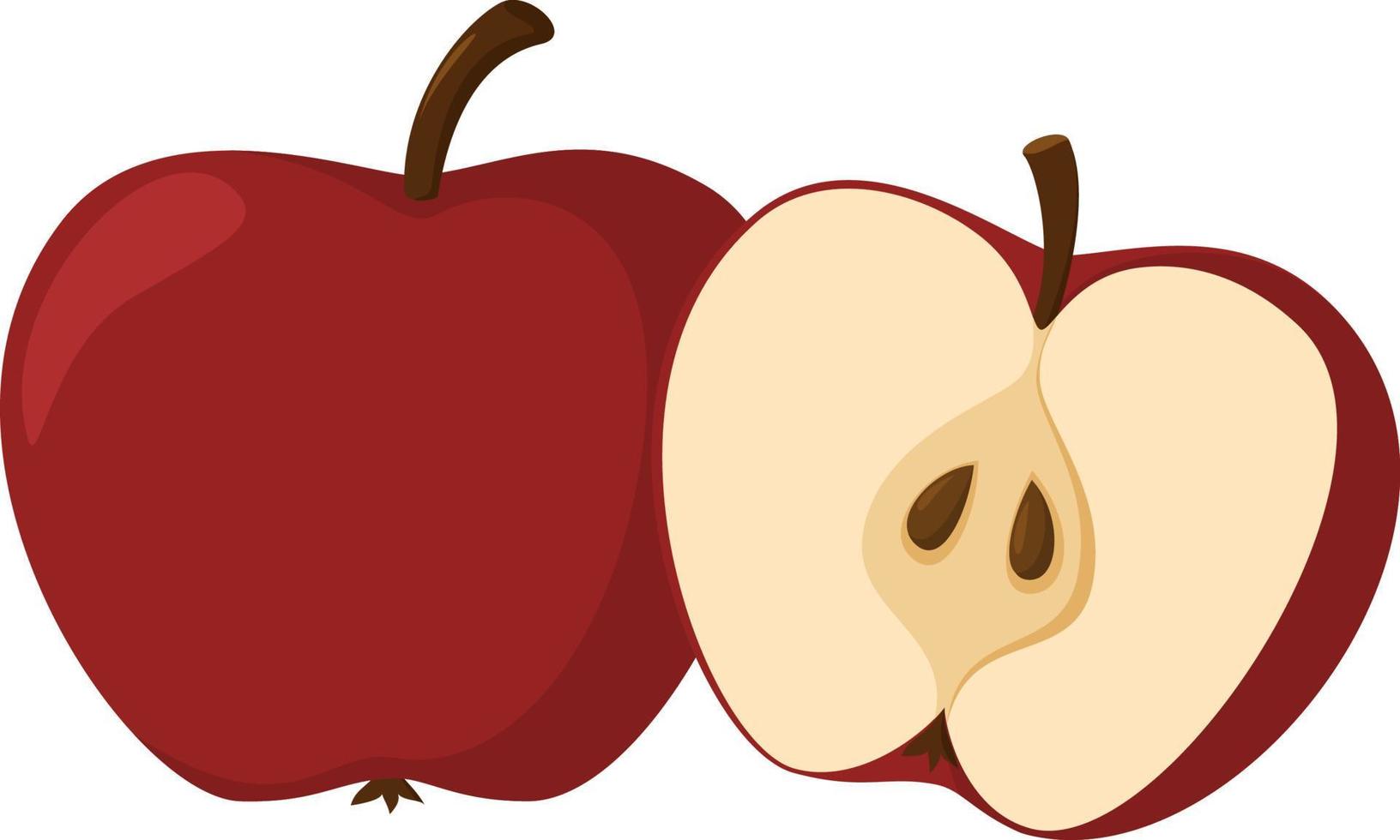 Fresh apple. Whole apple fruits and an apple cut in half. Cartoon style. vector illustration isolated on a white background