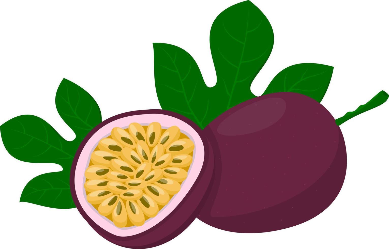 fruta de la pasión entera con fruta de la pasión a la mitad. estilo de dibujos animados ilustración vectorial aislado sobre fondo blanco vector