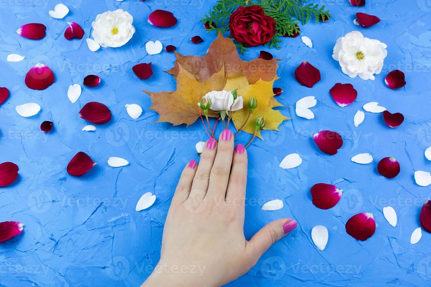 manos de belleza con flores de maquillaje foto