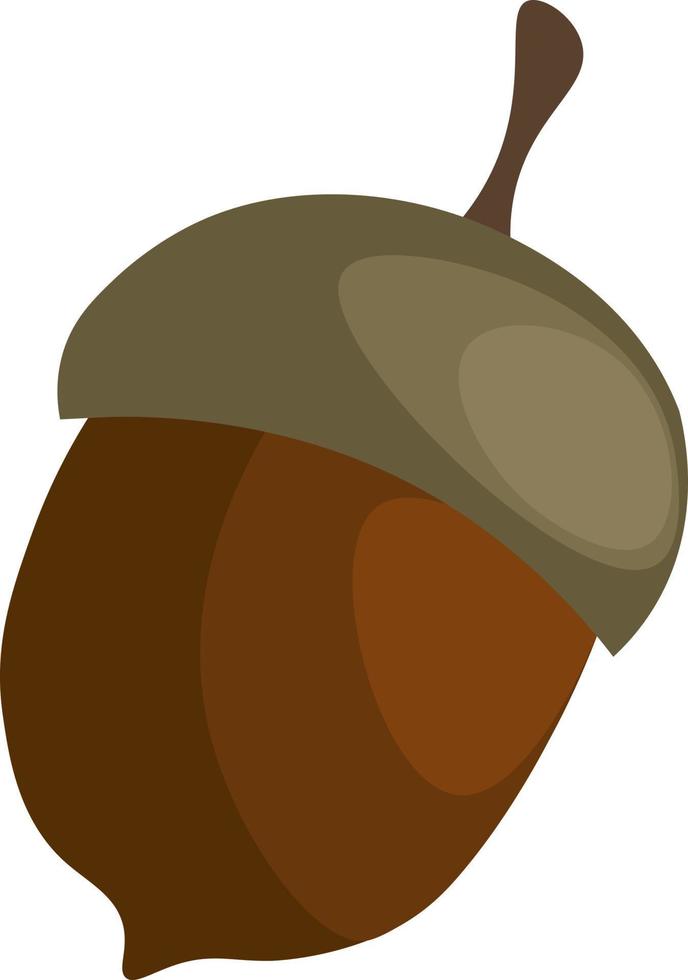 Brown acorn, illustration, vector on white background.