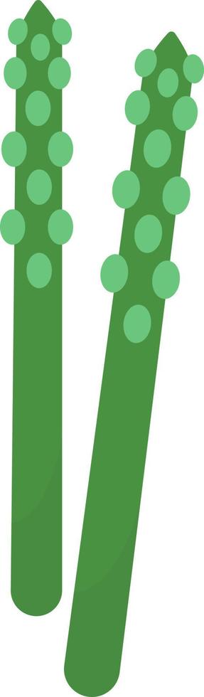 Green asparagus, illustration, vector on white background.