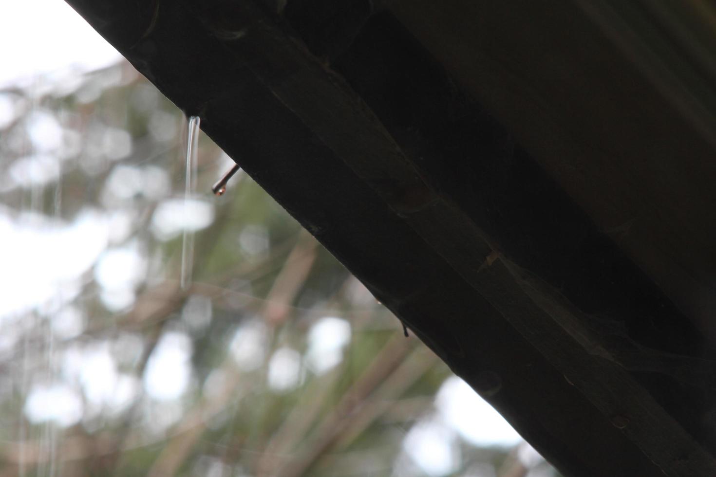 Rain drops from the eaves as it rains. photo