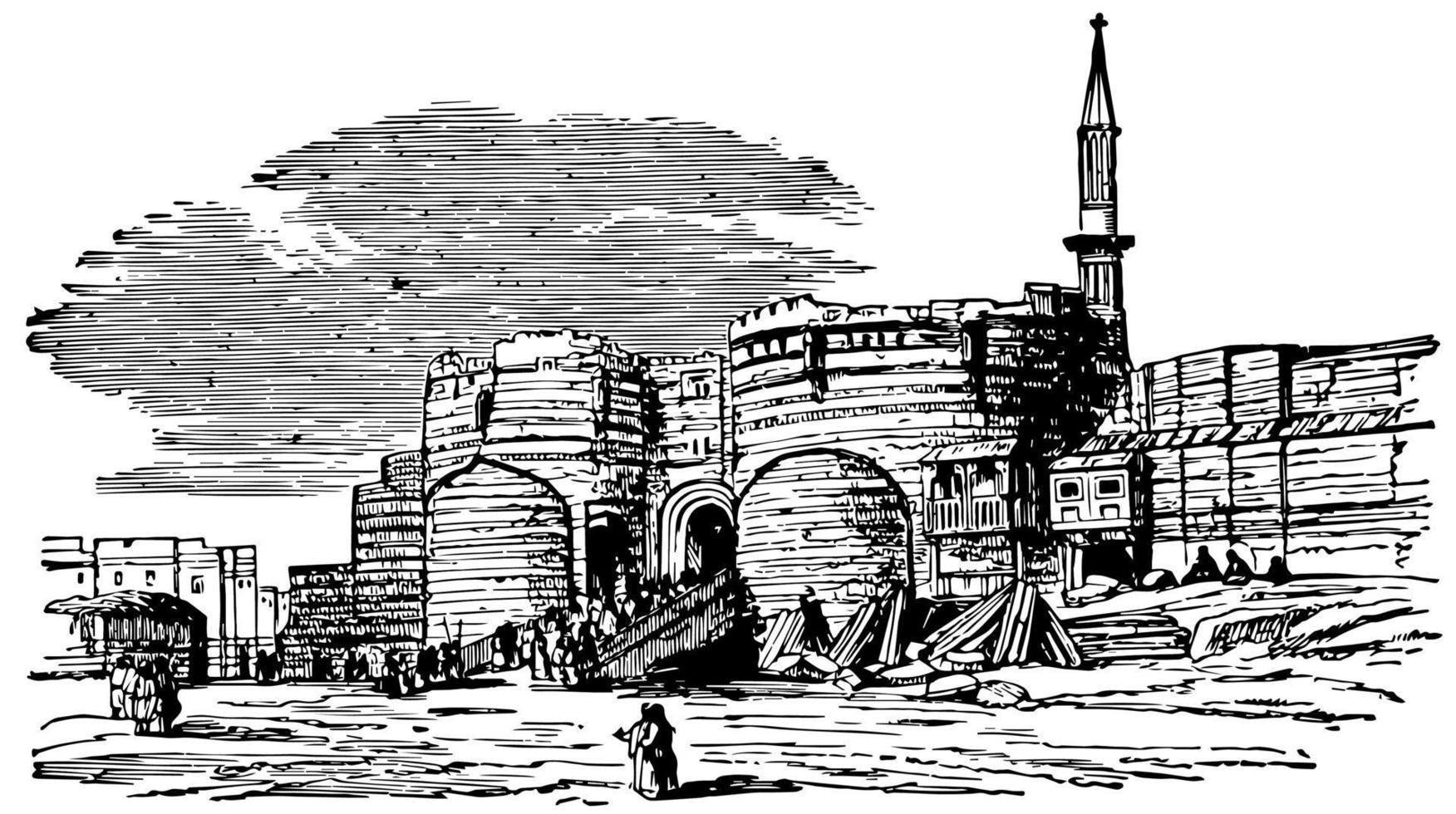 Citadel, Cairo, vintage engraving. vector