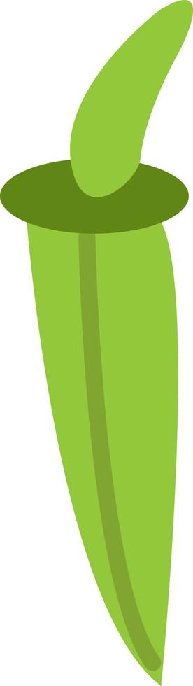 Green okra, illustration, vector, on a white background. vector