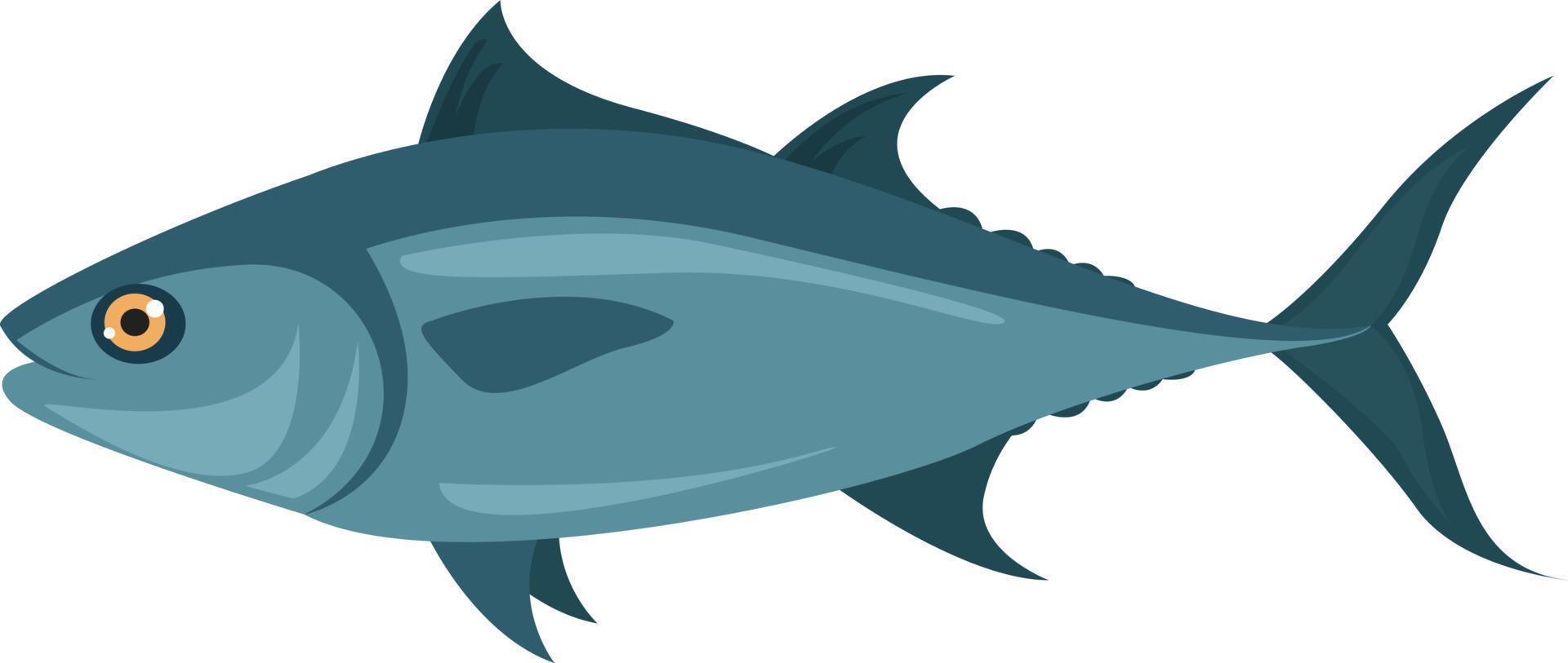 Blue tuna fish, illustration, vector on white background