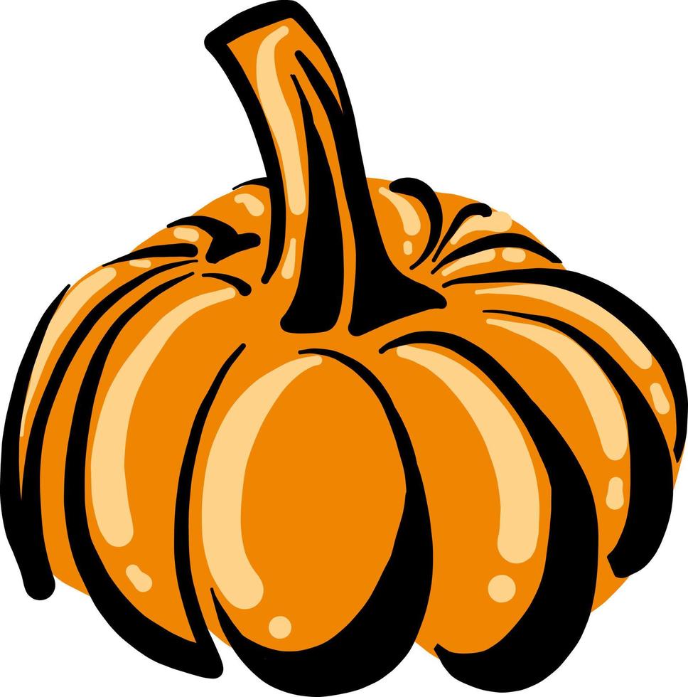 Pumpkin drawing, illustration, vector on white background