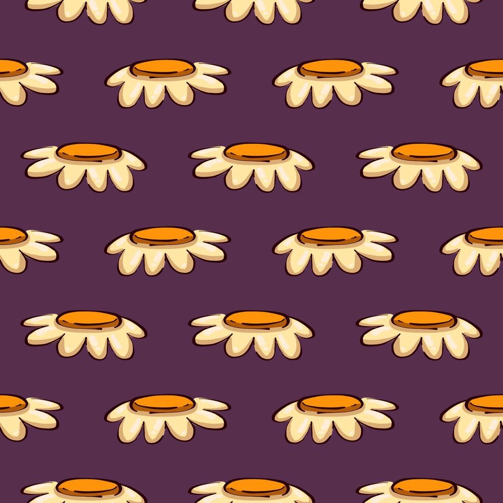 Chamomile flower,seamless pattern on dark purple background. vector