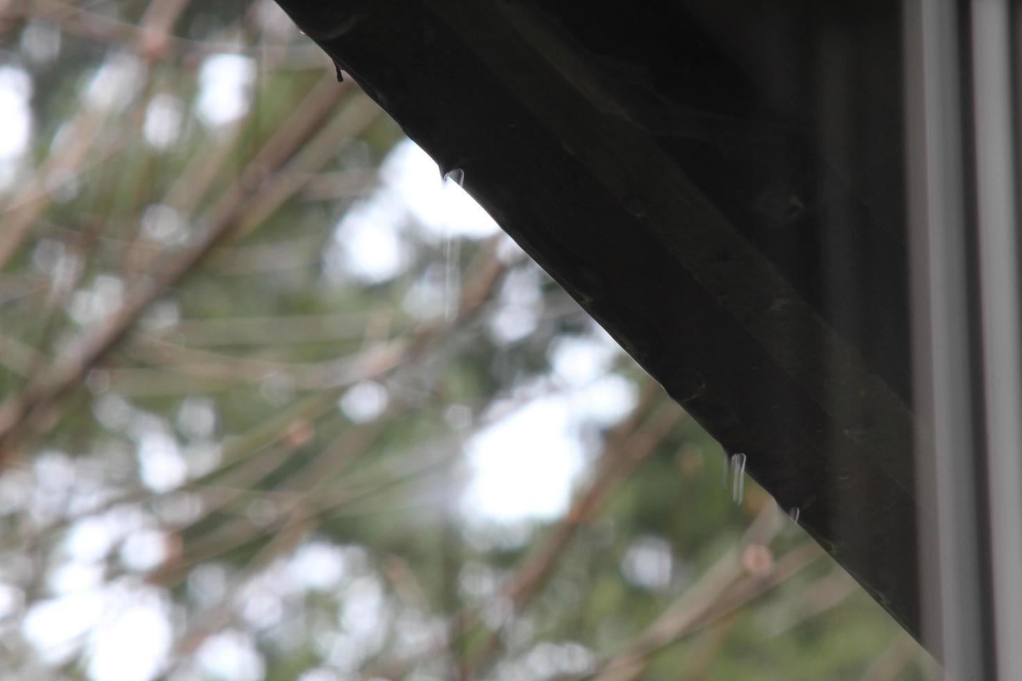 Rain drops from the eaves as it rains. photo