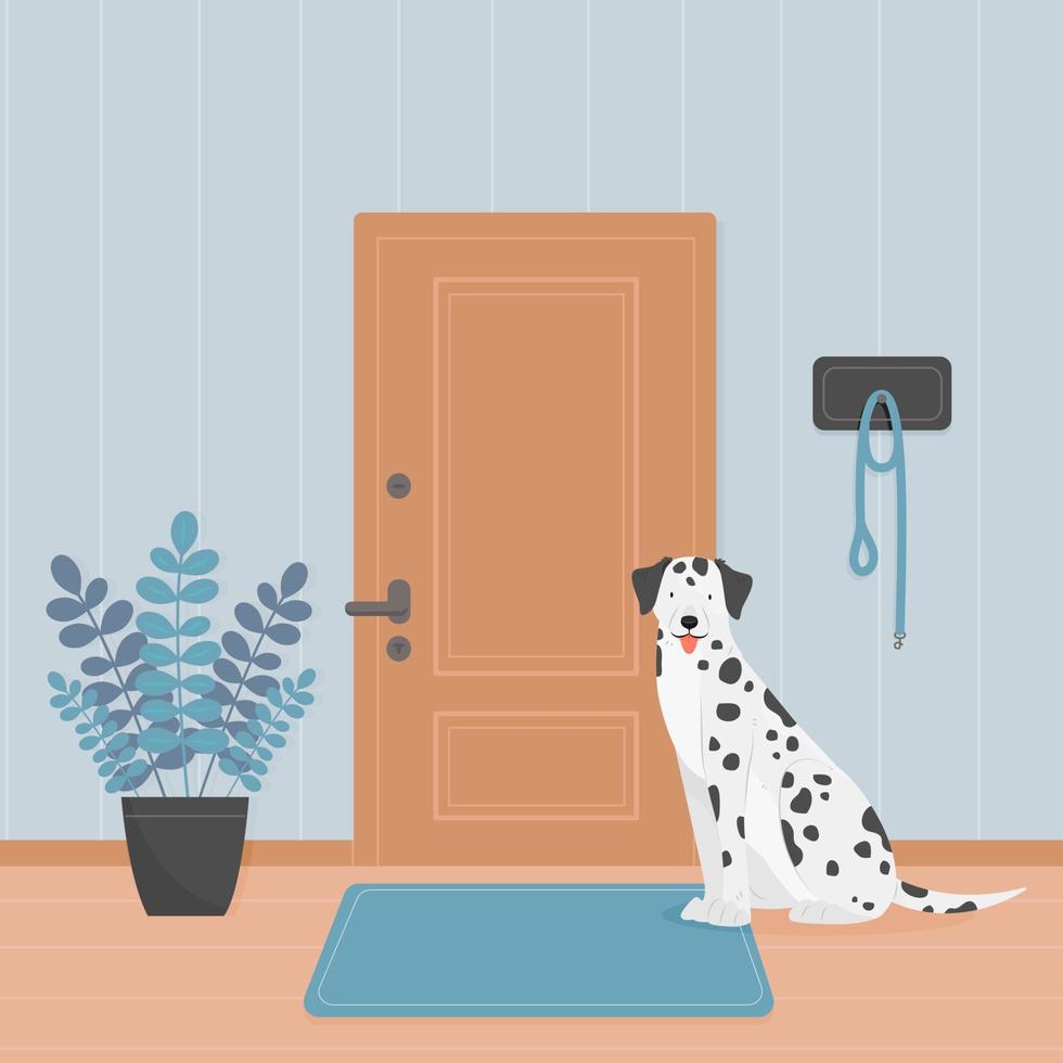 A Dalmatian dog is waiting for a walk. The dog is sitting in the hallway by the door. Vector pet illustration.