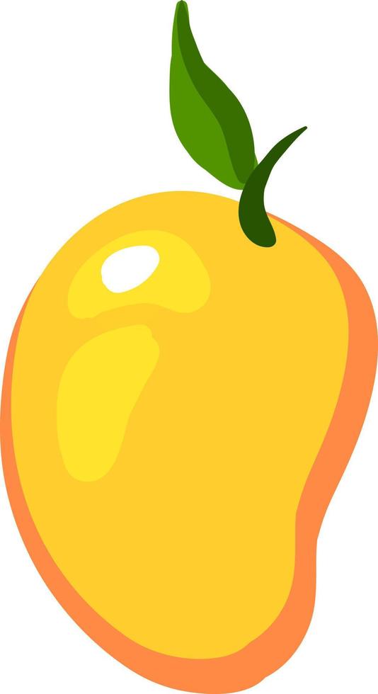 Flat mango, illustration, vector on white background.