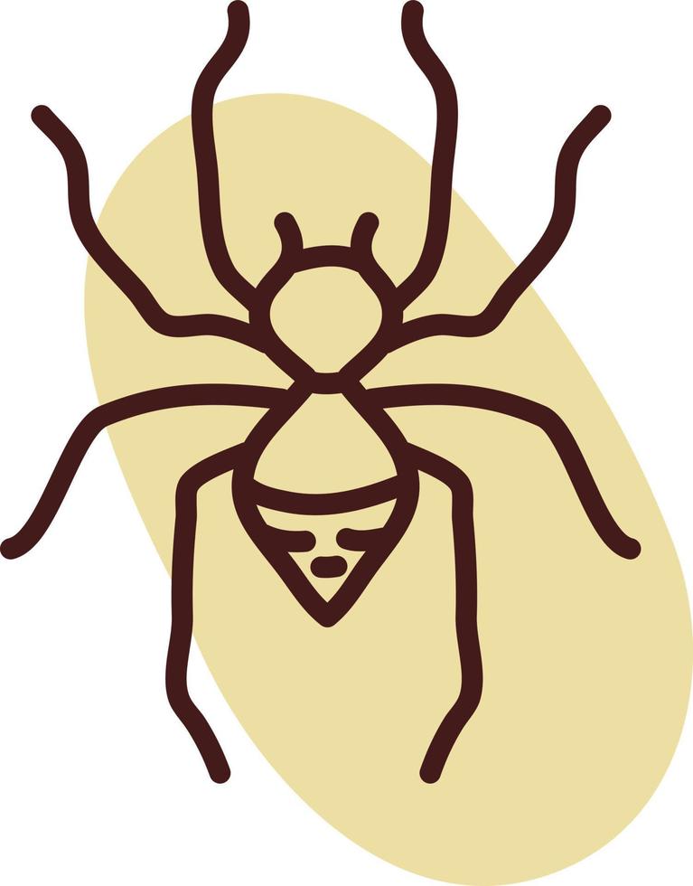 Big spider, illustration, vector, on a white background. vector