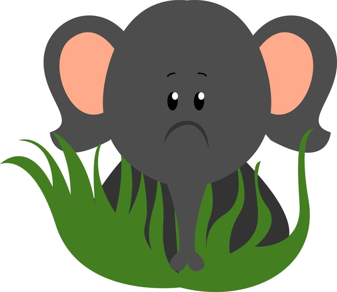 Baby elephant, illustration, vector on white background.