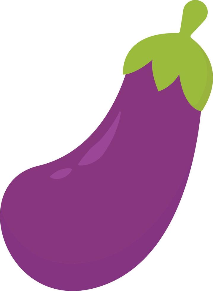 Eggplant, illustration, vector on white background.