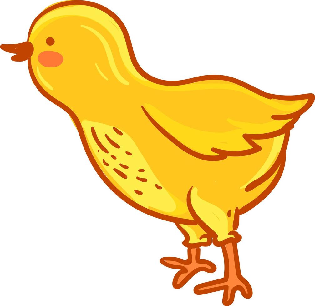 Pollito amarillo, ilustración, vector sobre fondo blanco.