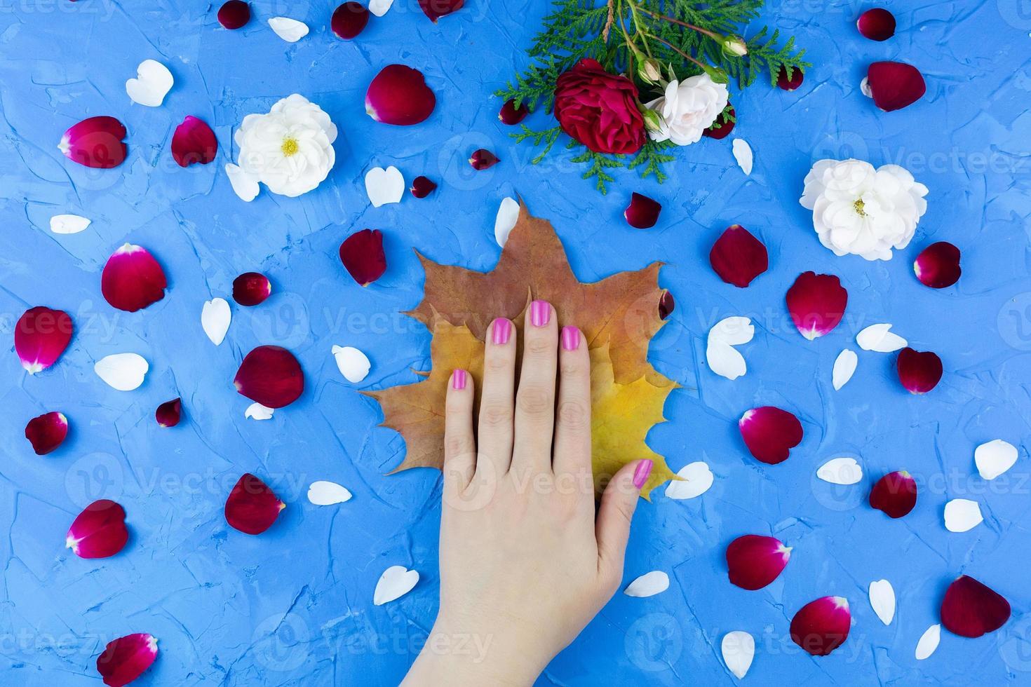 manos de belleza con flores de maquillaje foto