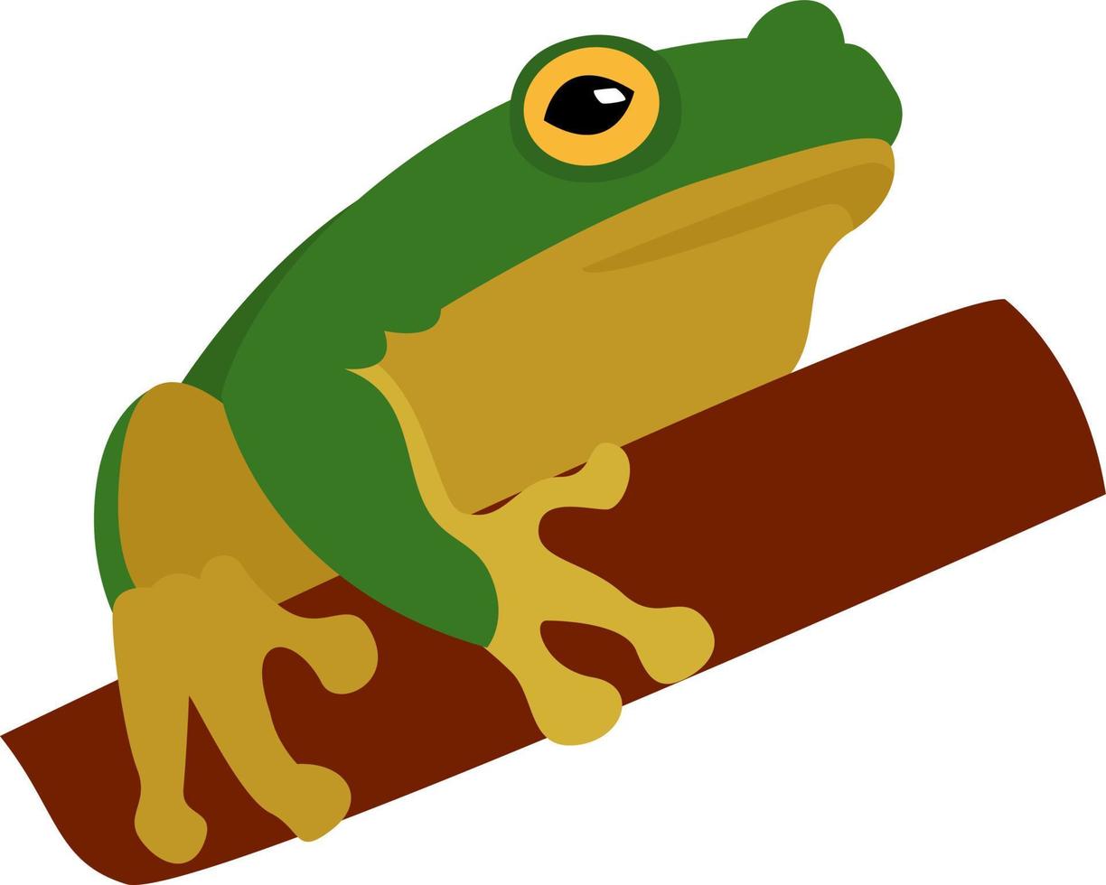 rana verde, ilustración, vector sobre fondo blanco