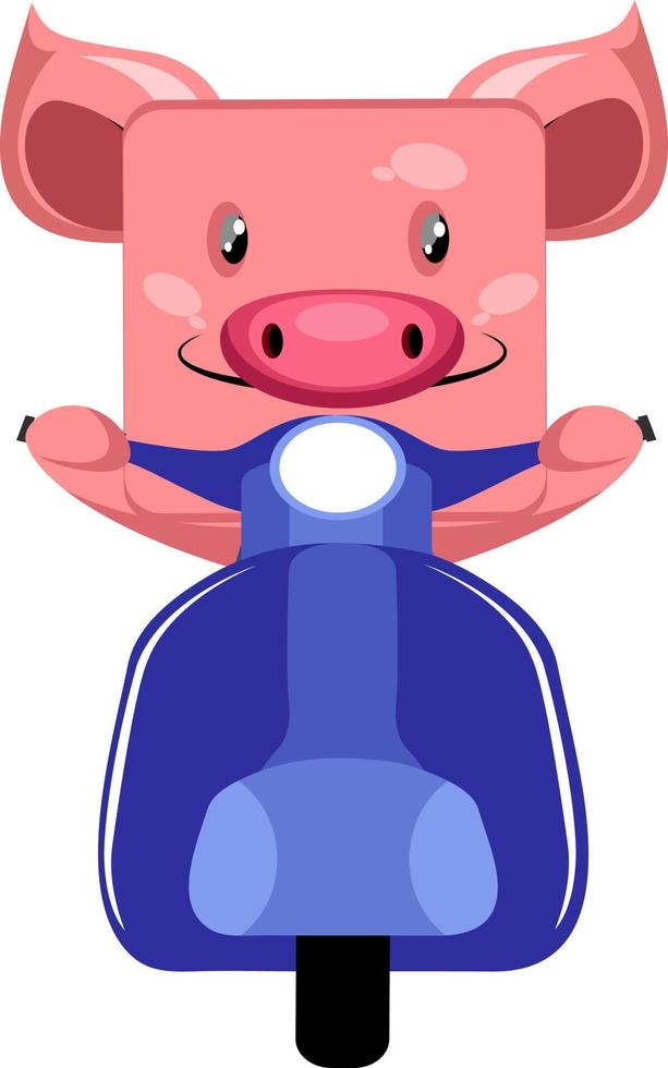 Pig with scooter, illustration, vector on white background.