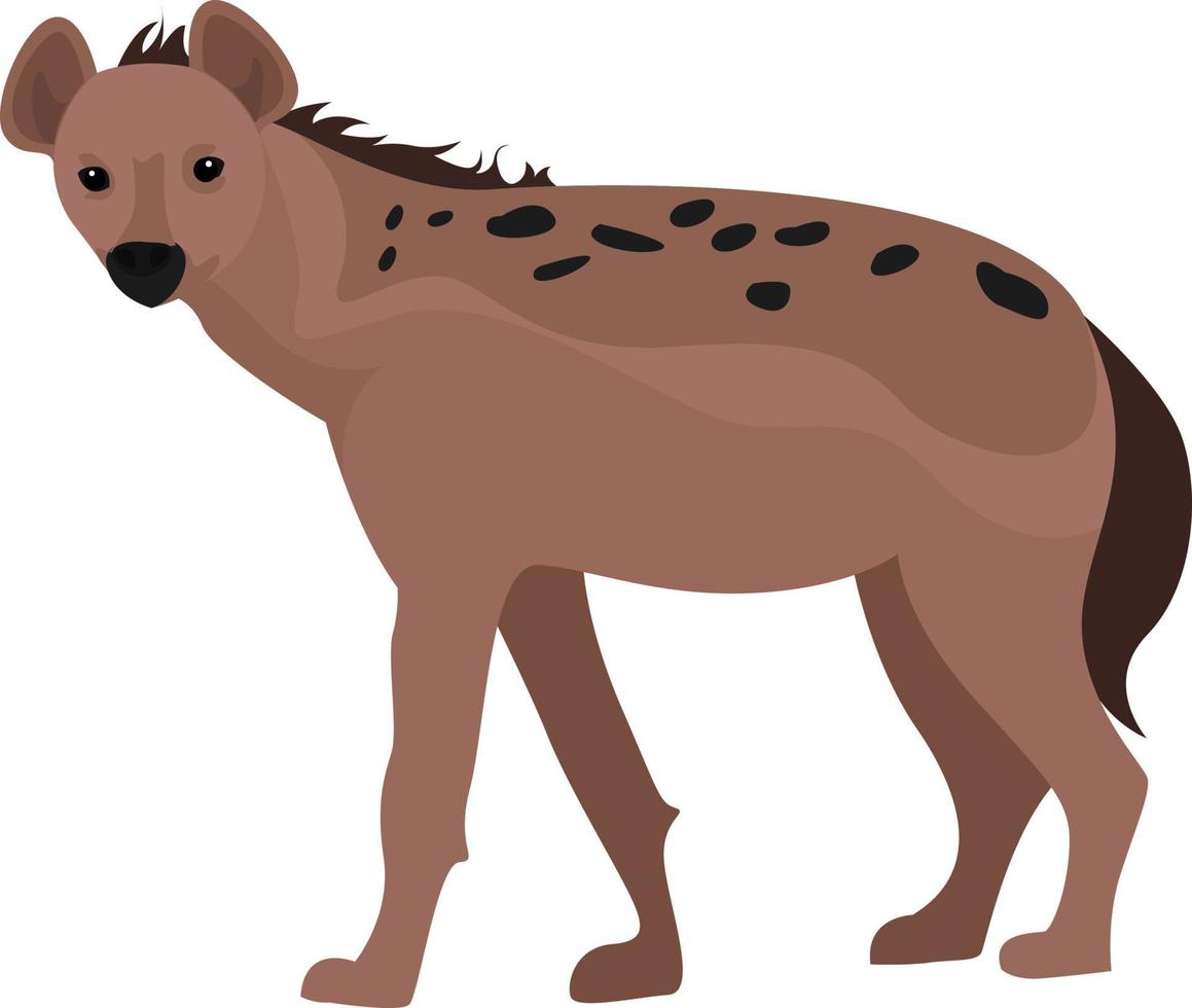 hiena salvaje, ilustración, vector sobre fondo blanco