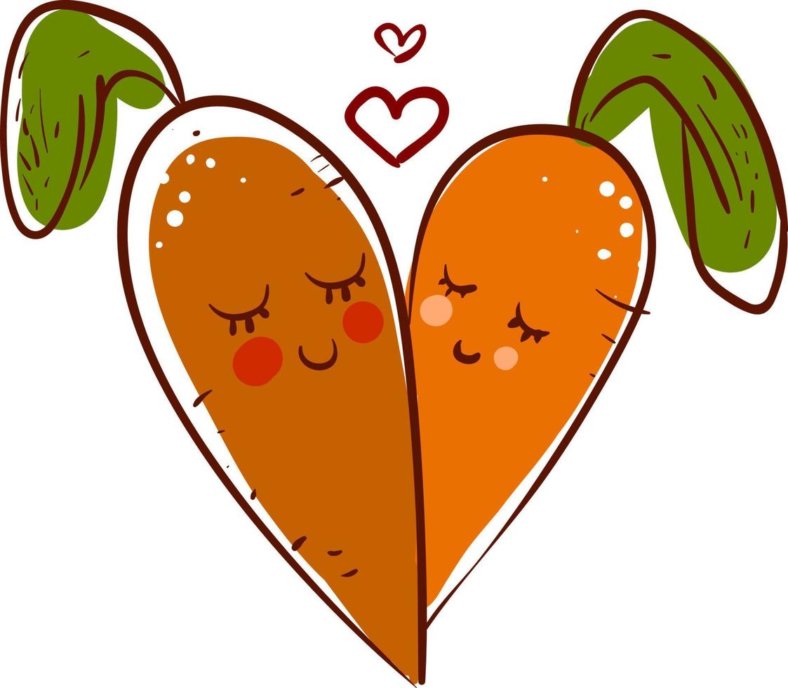 Carrots in love, illustration, vector on white background.