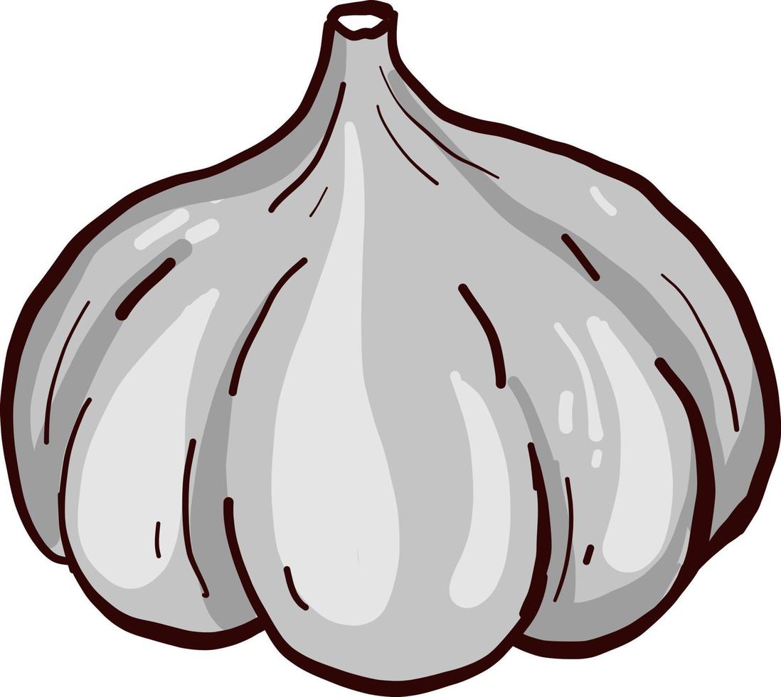 Fat garlic ,illustration,vector on white background vector