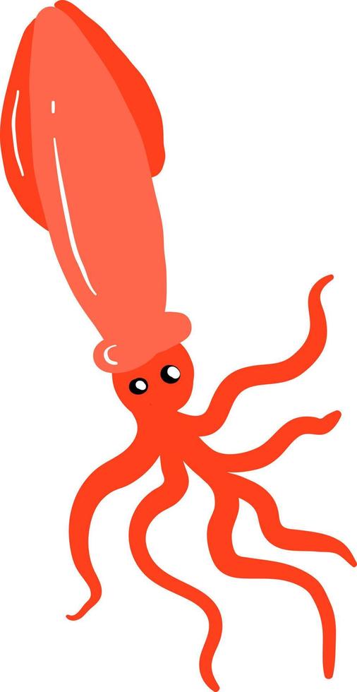 Red squid, illustration, vector on white background.
