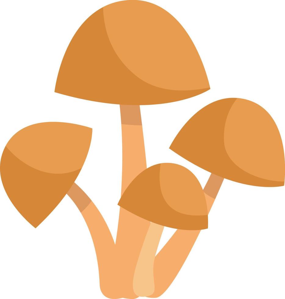 Brown honey fungus mushrooms, icon illustration, vector on white background