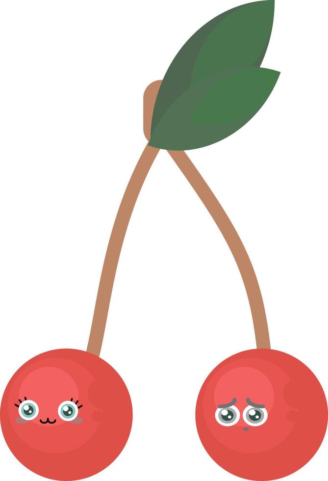 Pair of cherry, illustration, vector on white background.