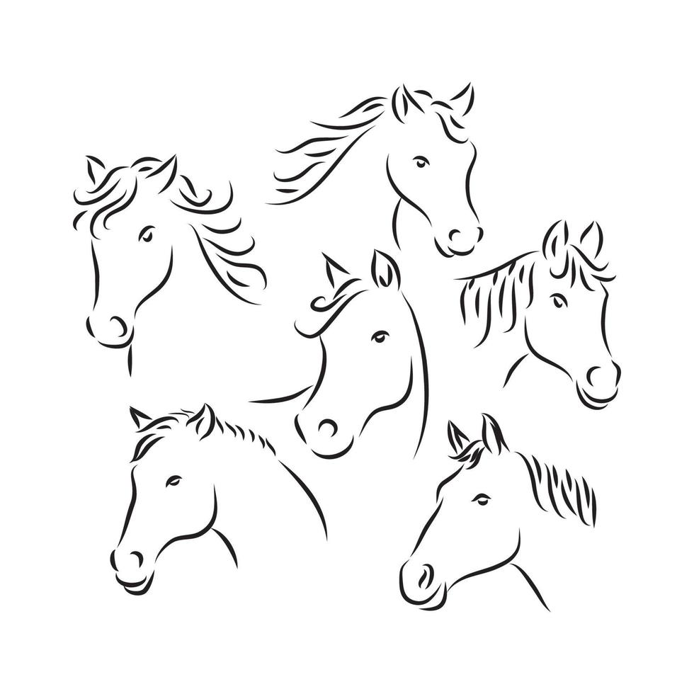 Horse Head sketch. Animal line art style. Horse head icon. Horse head vector illustration. Horse head simple sign.