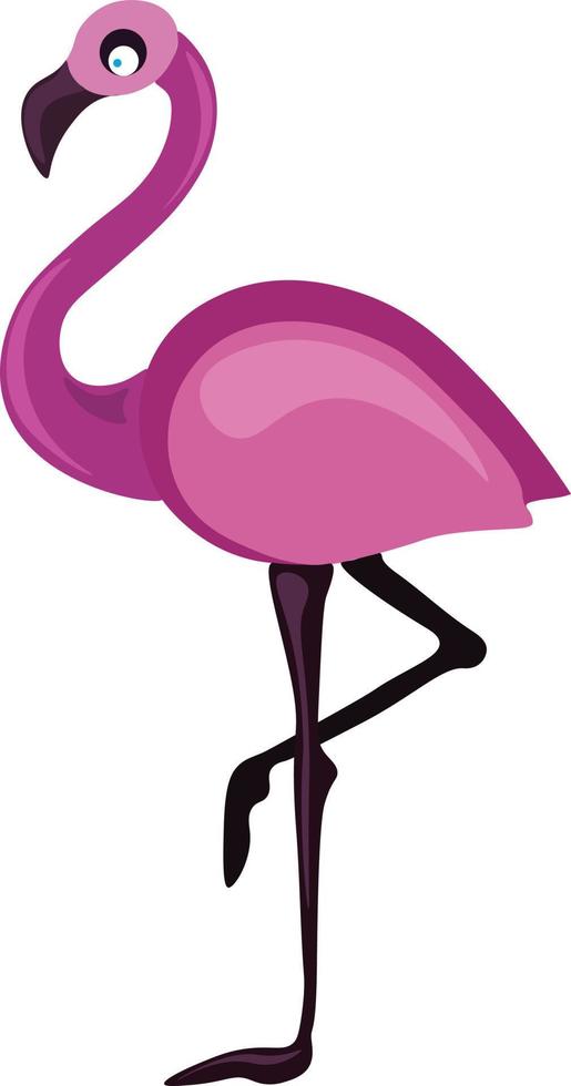 Flamingo, illustration, vector on white background.