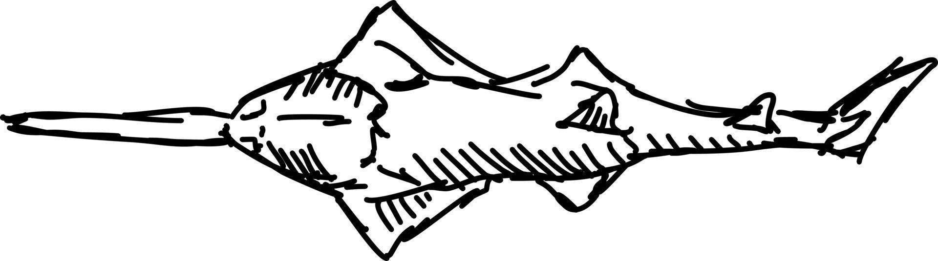 Fish drawing, illustration, vector on white background.