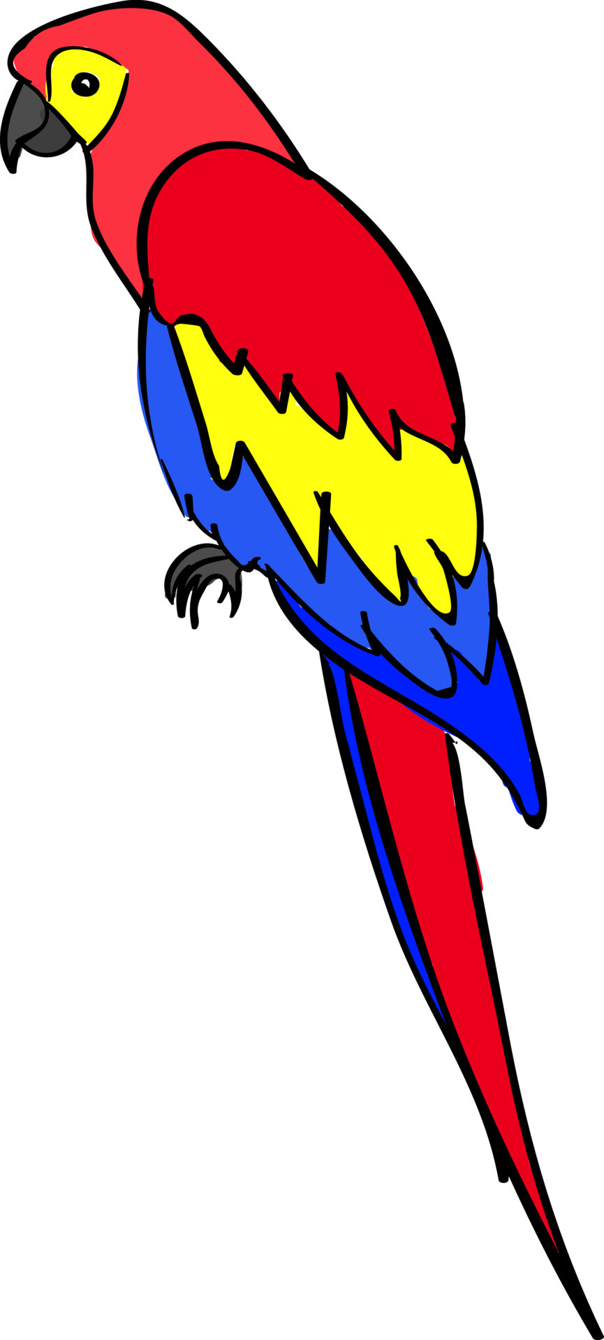 Parrot, illustration, vector on white background. 13592209 Vector Art ...