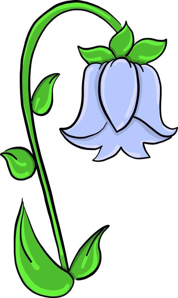Bell flower , illustration, vector on white background