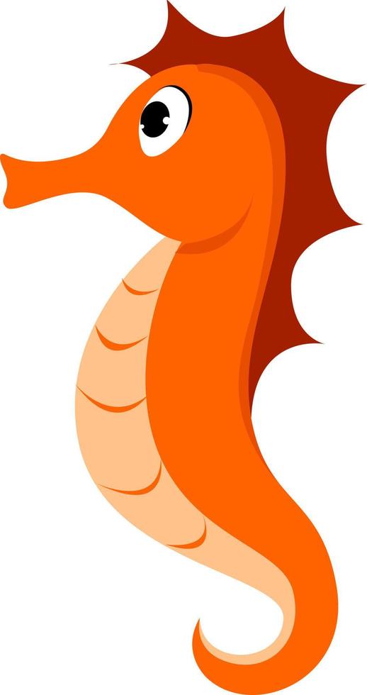 Red seahorse, illustration, vector on white background.