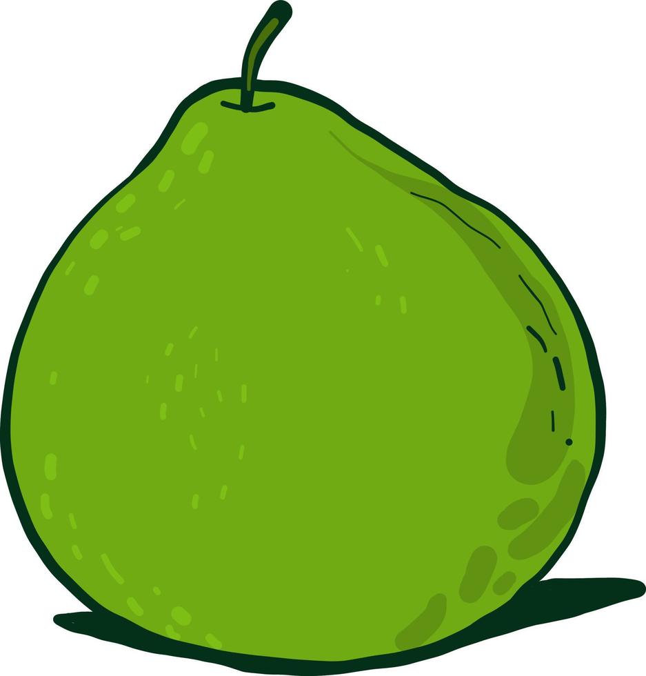 Green pear , illustration, vector on white background