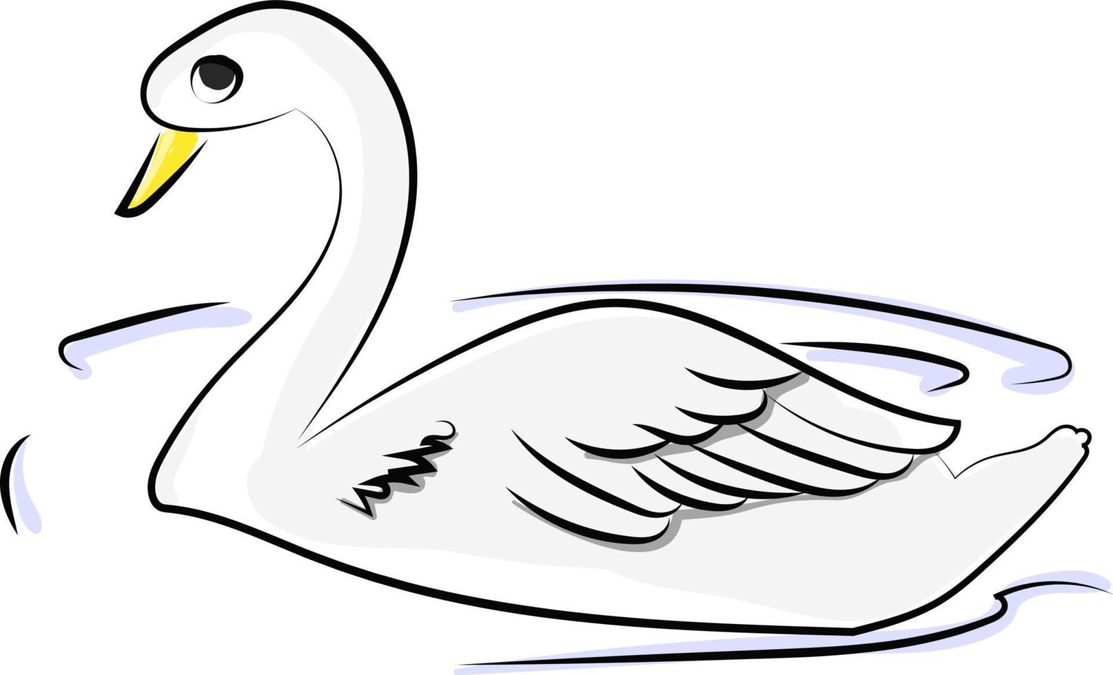 White swan in water, illustration, vector on white background.