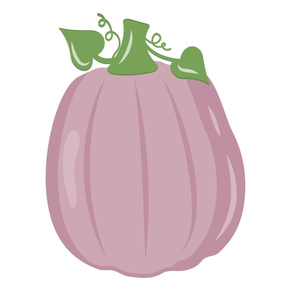 Autumn vegetable pumpkin, color vector isolated illustration icon